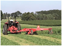 Right click to download a mowing video clip.
