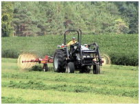 Right click to download a raking video clip.